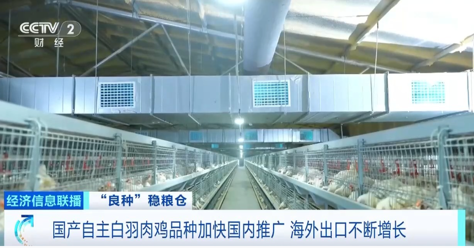 中国·曾氏贵宾会(股份)有限公司-官方网站