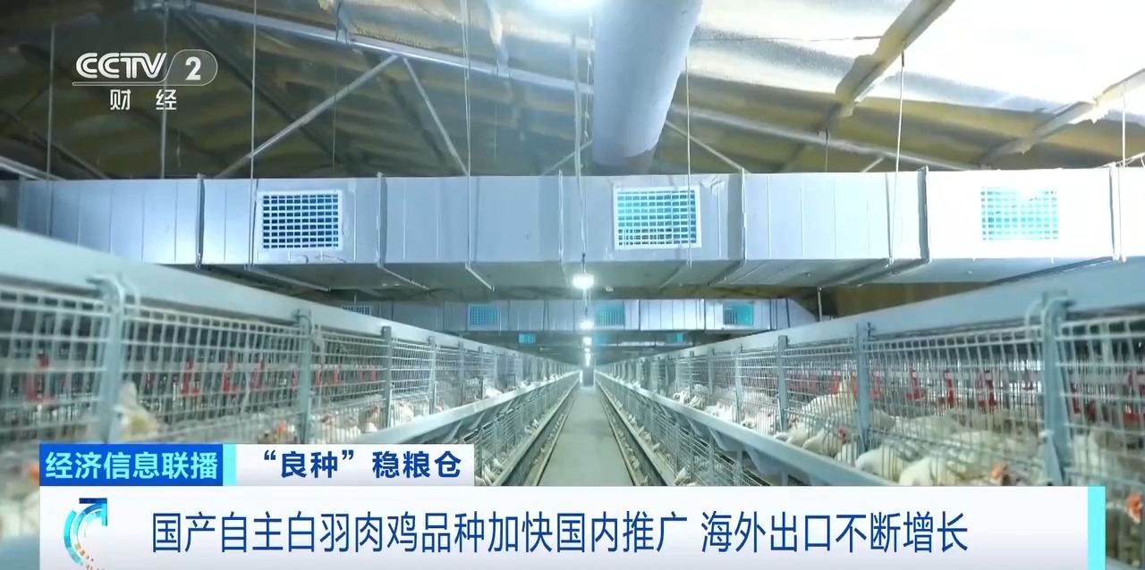 中国·曾氏贵宾会(股份)有限公司-官方网站