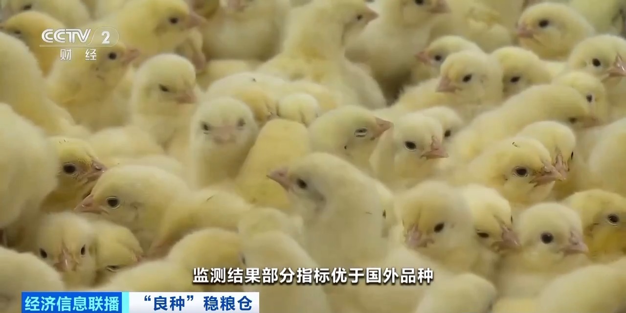 中国·曾氏贵宾会(股份)有限公司-官方网站