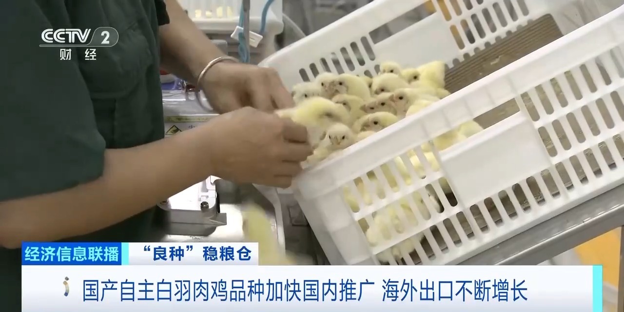 中国·曾氏贵宾会(股份)有限公司-官方网站